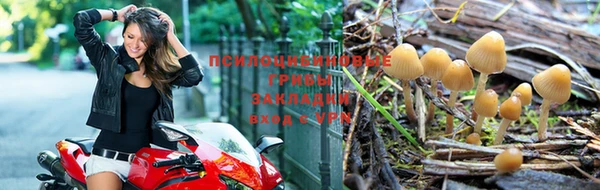 каннабис Пролетарск